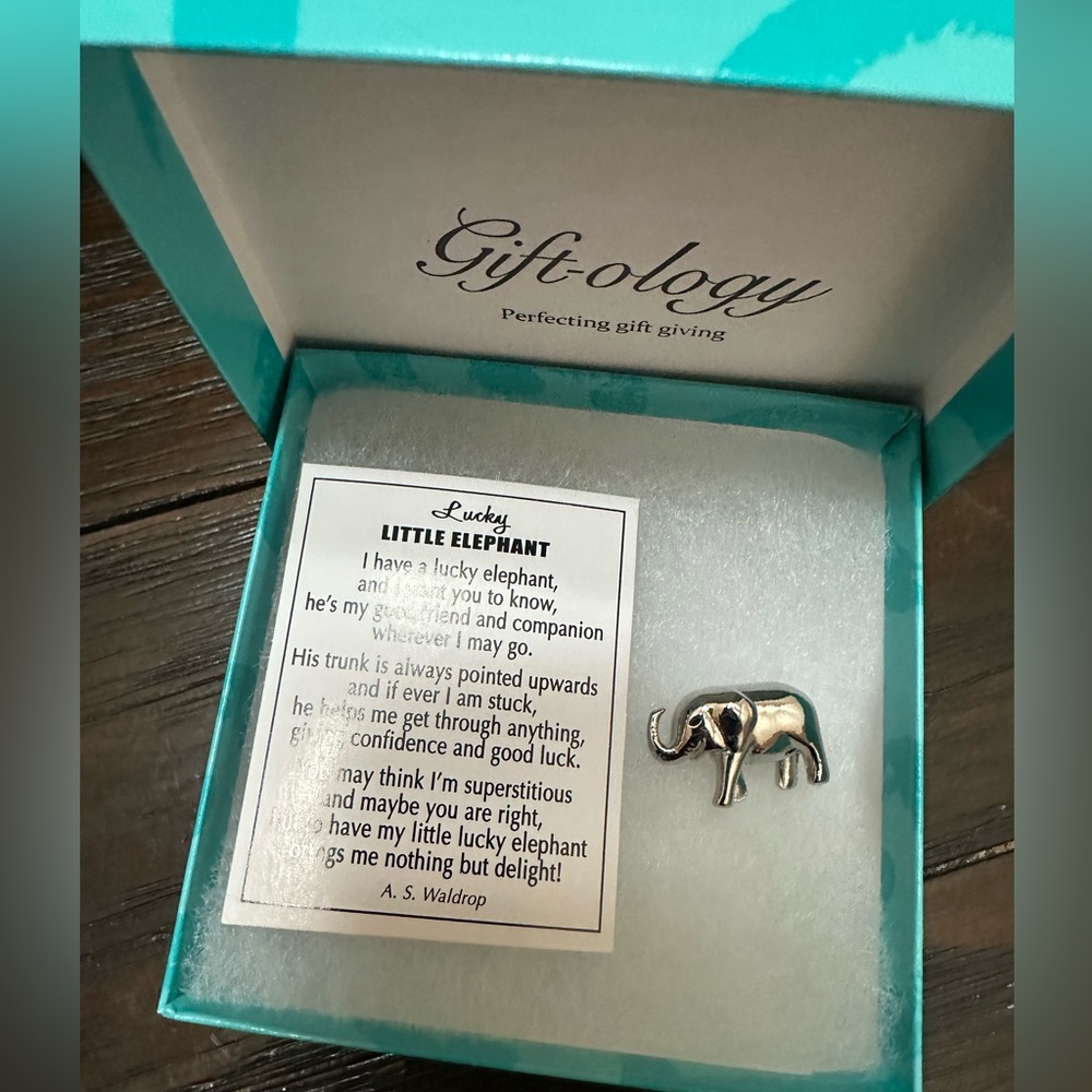 Lucky Little Elephant